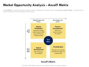 Business Opportunity Assessment Template – Kubizo.com